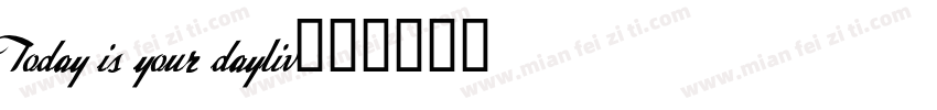 Today is your dayliv字体转换